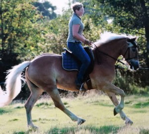 Sommer mit Night Boy B 1